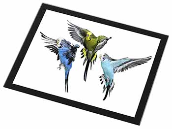 Budgerigars, Budgies in Flight Black Rim High Quality Glass Placemat