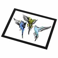 Budgerigars, Budgies in Flight Black Rim High Quality Glass Placemat