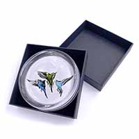 Budgerigars, Budgies in Flight Glass Paperweight in Gift Box