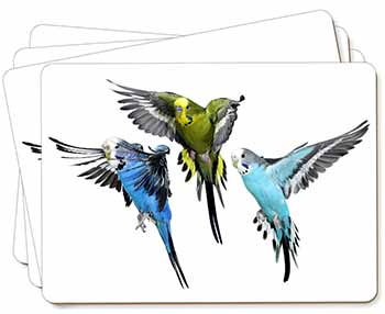 Budgerigars, Budgies in Flight Picture Placemats in Gift Box
