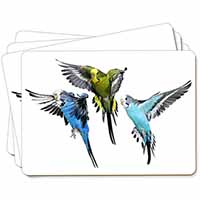 Budgerigars, Budgies in Flight Picture Placemats in Gift Box
