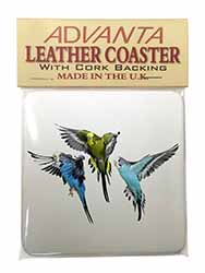 Budgerigars, Budgies in Flight Single Leather Photo Coaster