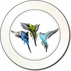 Budgerigars, Budgies in Flight Car or Van Permit Holder/Tax Disc Holder