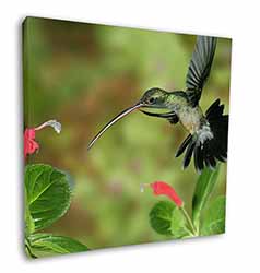 Green Hermit Humming Bird Square Canvas 12"x12" Wall Art Picture Print