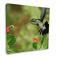 Green Hermit Humming Bird Square Canvas 12"x12" Wall Art Picture Print