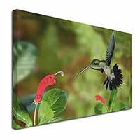 Green Hermit Humming Bird Canvas X-Large 30"x20" Wall Art Print