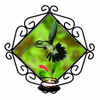 Green Hermit Humming Bird Wrought Iron Wall Art Candle Holder