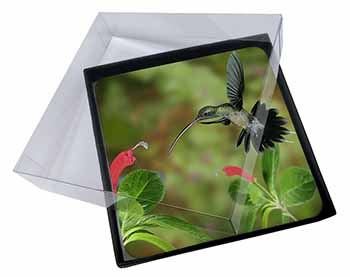 4x Green Hermit Humming Bird Picture Table Coasters Set in Gift Box