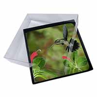 4x Green Hermit Humming Bird Picture Table Coasters Set in Gift Box