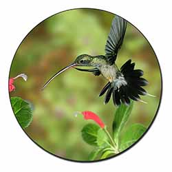 Green Hermit Humming Bird Fridge Magnet Printed Full Colour