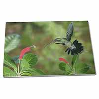 Large Glass Cutting Chopping Board Green Hermit Humming Bird