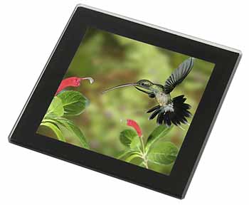 Green Hermit Humming Bird Black Rim High Quality Glass Coaster