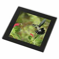 Green Hermit Humming Bird Black Rim High Quality Glass Coaster