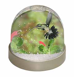 Green Hermit Humming Bird Snow Globe Photo Waterball