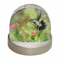 Green Hermit Humming Bird Snow Globe Photo Waterball