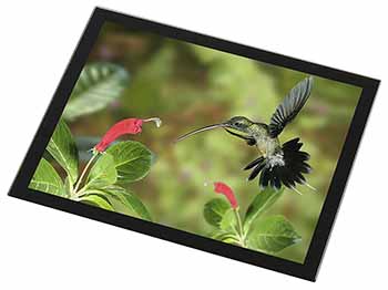 Green Hermit Humming Bird Black Rim High Quality Glass Placemat