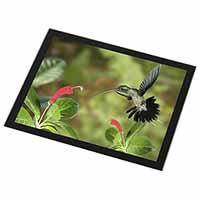 Green Hermit Humming Bird Black Rim High Quality Glass Placemat