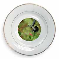 Green Hermit Humming Bird Gold Rim Plate Printed Full Colour in Gift Box