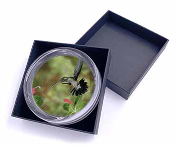 Green Hermit Humming Bird Glass Paperweight in Gift Box
