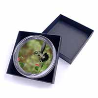 Green Hermit Humming Bird Glass Paperweight in Gift Box