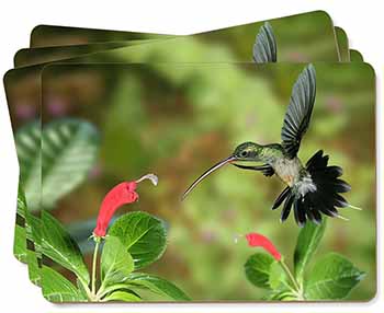 Green Hermit Humming Bird Picture Placemats in Gift Box