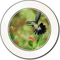 Green Hermit Humming Bird Car or Van Permit Holder/Tax Disc Holder