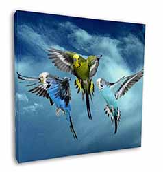 Budgies in Flight Square Canvas 12"x12" Wall Art Picture Print
