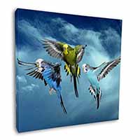 Budgies in Flight Square Canvas 12"x12" Wall Art Picture Print