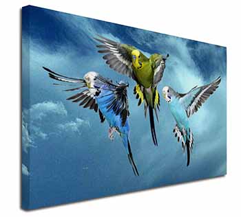 Budgies in Flight Canvas X-Large 30"x20" Wall Art Print