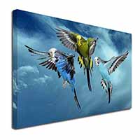 Budgies in Flight Canvas X-Large 30"x20" Wall Art Print