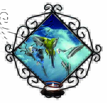 Budgies in Flight Wrought Iron Wall Art Candle Holder