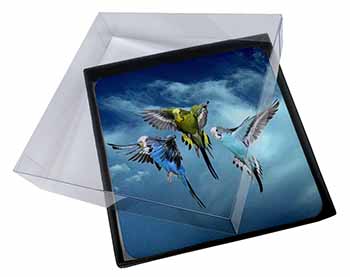 4x Budgies in Flight Picture Table Coasters Set in Gift Box