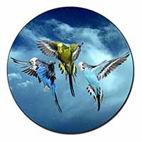 Budgies in Flight Fridge Magnet Printed Full Colour