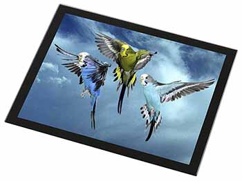 Budgies in Flight Black Rim High Quality Glass Placemat