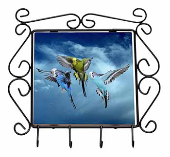 Budgies in Flight Wrought Iron Key Holder Hooks