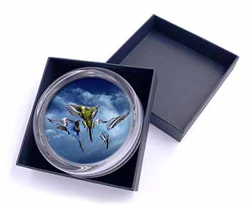 Budgies in Flight Glass Paperweight in Gift Box