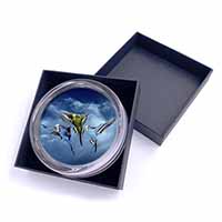 Budgies in Flight Glass Paperweight in Gift Box