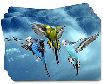 Budgies in Flight Picture Placemats in Gift Box