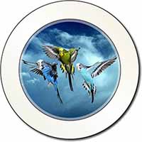 Budgies in Flight Car or Van Permit Holder/Tax Disc Holder