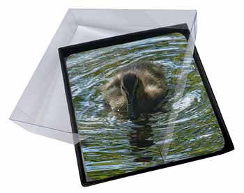 4x A Cute Young Baby Duck Picture Table Coasters Set in Gift Box