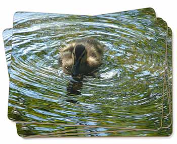 A Cute Young Baby Duck Picture Placemats in Gift Box