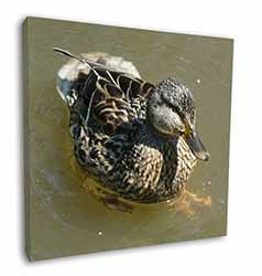 An Inquisitive Little Duck 12"x12" Canvas Wall Art Picture Print