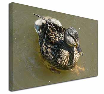 An Inquisitive Little Duck Canvas X-Large 30"x20" Wall Art Print