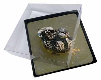 4x An Inquisitive Little Duck Picture Table Coasters Set in Gift Box