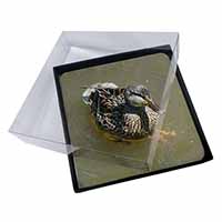 4x An Inquisitive Little Duck Picture Table Coasters Set in Gift Box