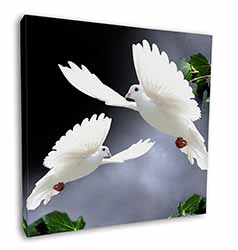 Beautiful White Doves Square Canvas 12"x12" Wall Art Picture Print