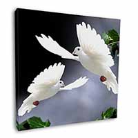 Beautiful White Doves Square Canvas 12"x12" Wall Art Picture Print