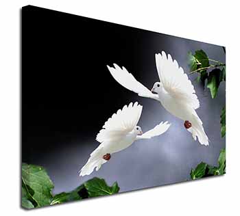 Beautiful White Doves Canvas X-Large 30"x20" Wall Art Print