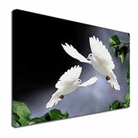 Beautiful White Doves Canvas X-Large 30"x20" Wall Art Print