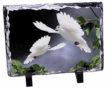 Beautiful White Doves, Stunning Photo Slate